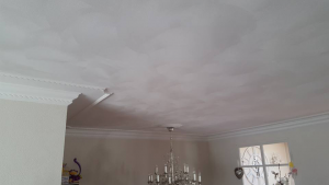 RVM Plafond Afwerking