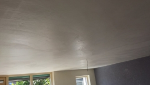 RVM Plafond Afwerking
