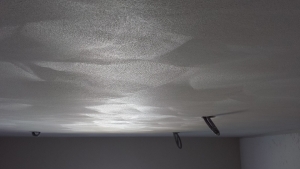 RVM Plafond Afwerking